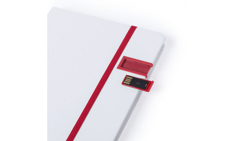 Ëynsteyn A5 Ruled 100 Page Notebook with built in 16gb USB Stick, Asstd Colours
