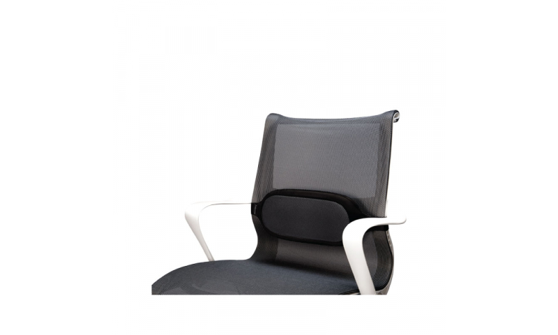 Fellowes Inspire Lumbar Chair Back Support (New Lower Price for 2022)