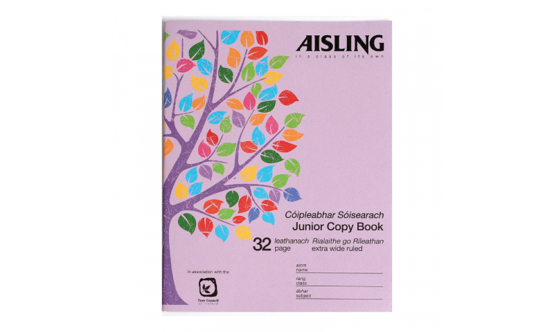 Aisling Junior Writing Copy 200x160mm 32 Page, 15mm Wide Feint, 20 Pack