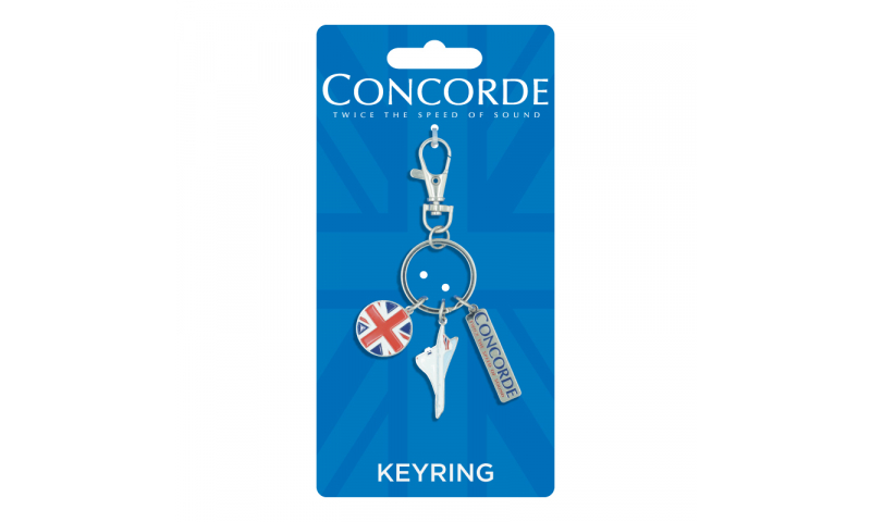 Concorde Shaped Metal Trinket Keyring