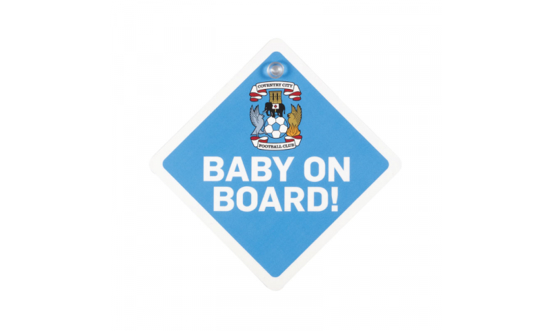Baby on Board Sign, with window sucker, Fully Bespoke Design