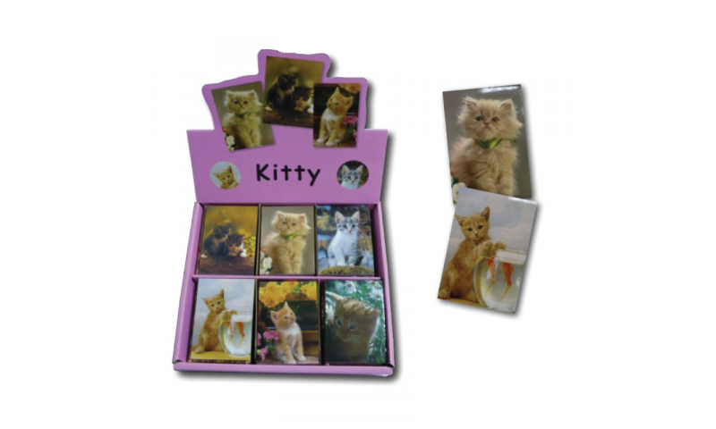 Novelty Mini Notebooks Cats, 6 Asstd