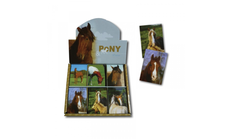 Novelty Mini Notebooks Pony & Horse, 6 Asstd Designs