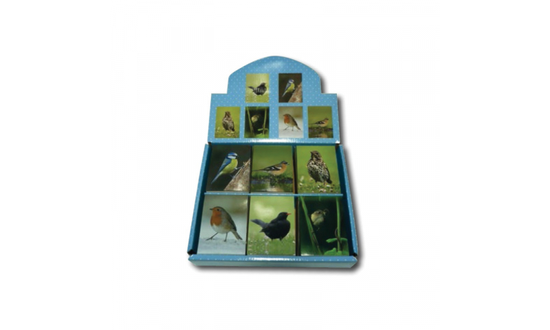 Novelty Mini Notebooks Garden Birds 6 Asstd