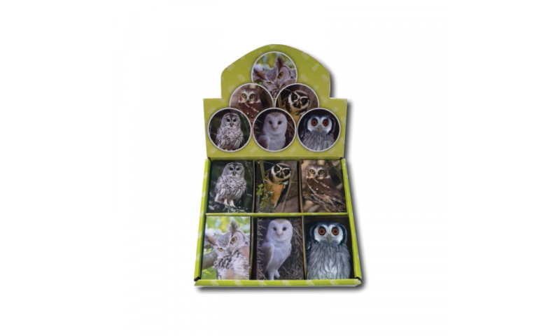 Novelty Mini Notebooks Owls 6 Asstd