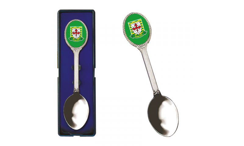 Donegal Crest Spoon
